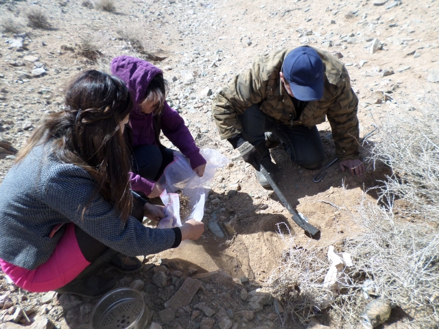 SAM_0286(1)
